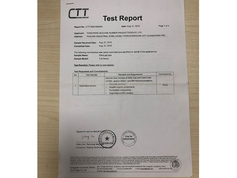 CTT检测报告